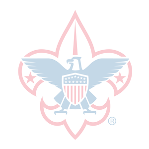 Women in Scouting